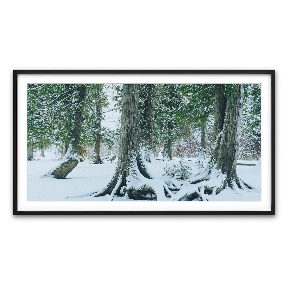 Framed Print 2x1 Black