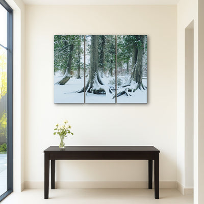 AUTO-MOCKUP ROOM | Winter in Northern BC 1