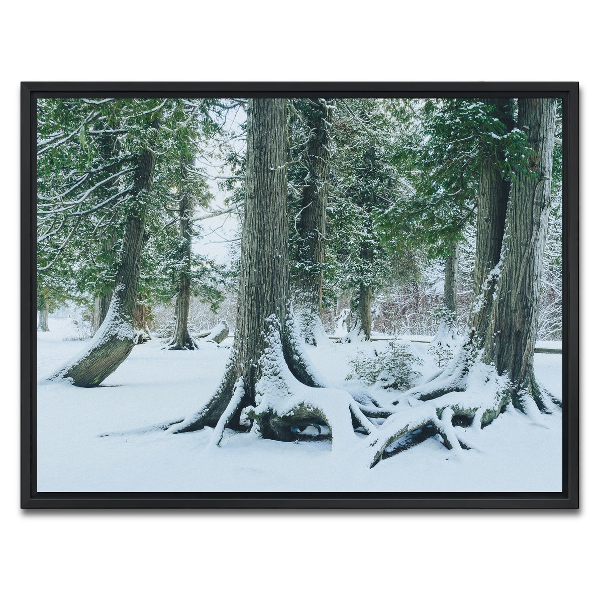 AUTO-MOCKUP WHITE | Winter in Northern BC 1 | 1 Piece | Black Framed Canvas | group=4x3