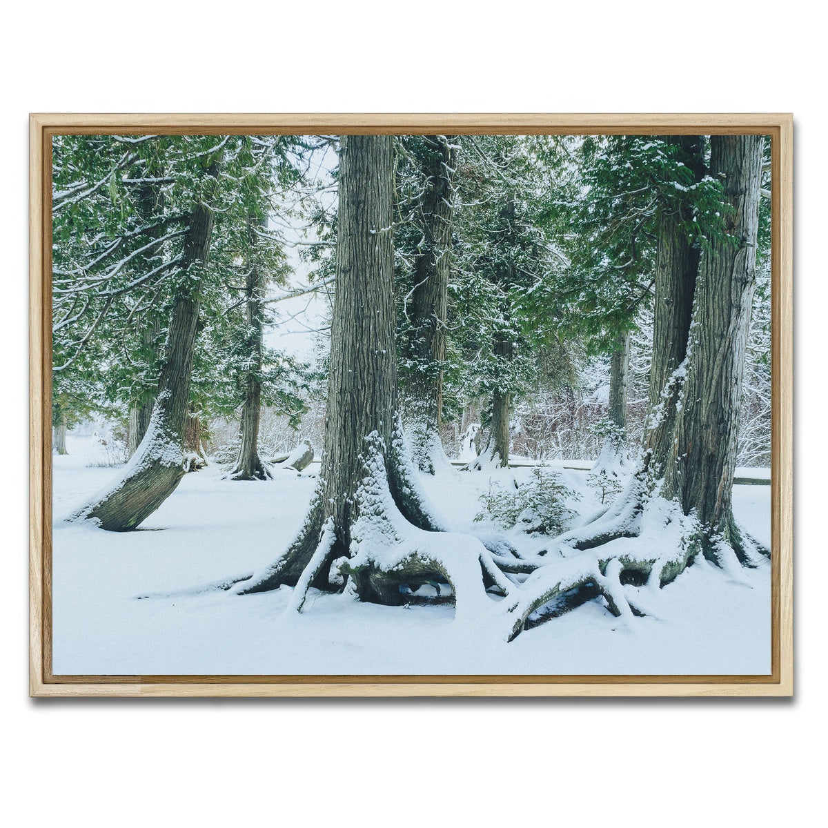 AUTO-MOCKUP WHITE | Winter in Northern BC 1 | 1 Piece | Natural Framed Canvas | group=4x3