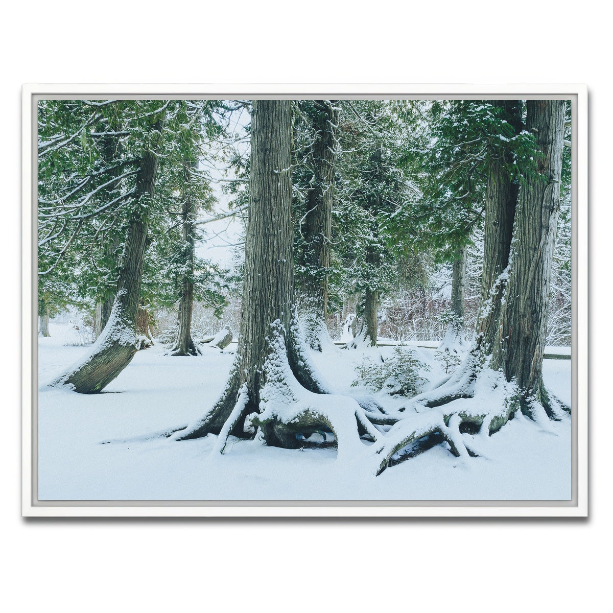 AUTO-MOCKUP WHITE | Winter in Northern BC 1 | 1 Piece | White Framed Canvas | group=4x3