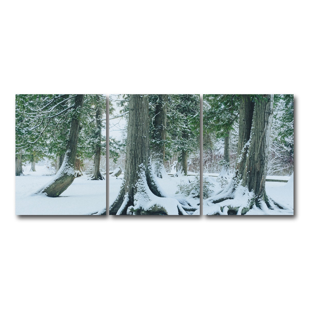 AUTO-MOCKUP WHITE | Winter in Northern BC 1 | 3 Piece | Gallery Wrap Canvas | group=18x24