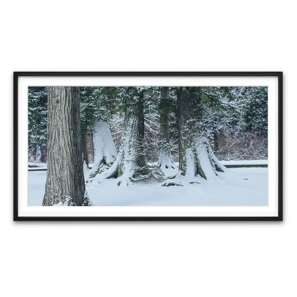 Framed Print 2x1 Black