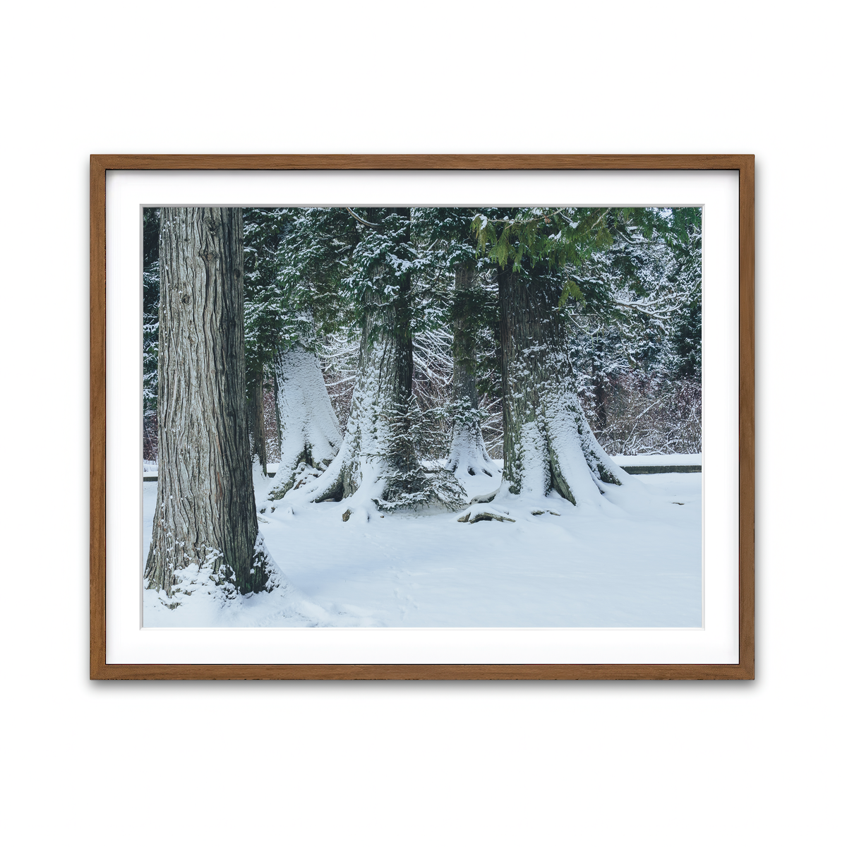 Framed Print 4x3 Walnut