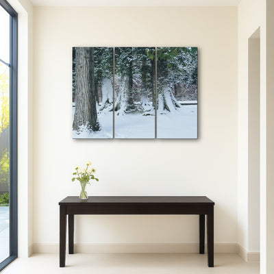 AUTO-MOCKUP ROOM | Winter in Northern BC