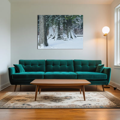 AUTO-MOCKUP ROOM | Winter in Northern BC