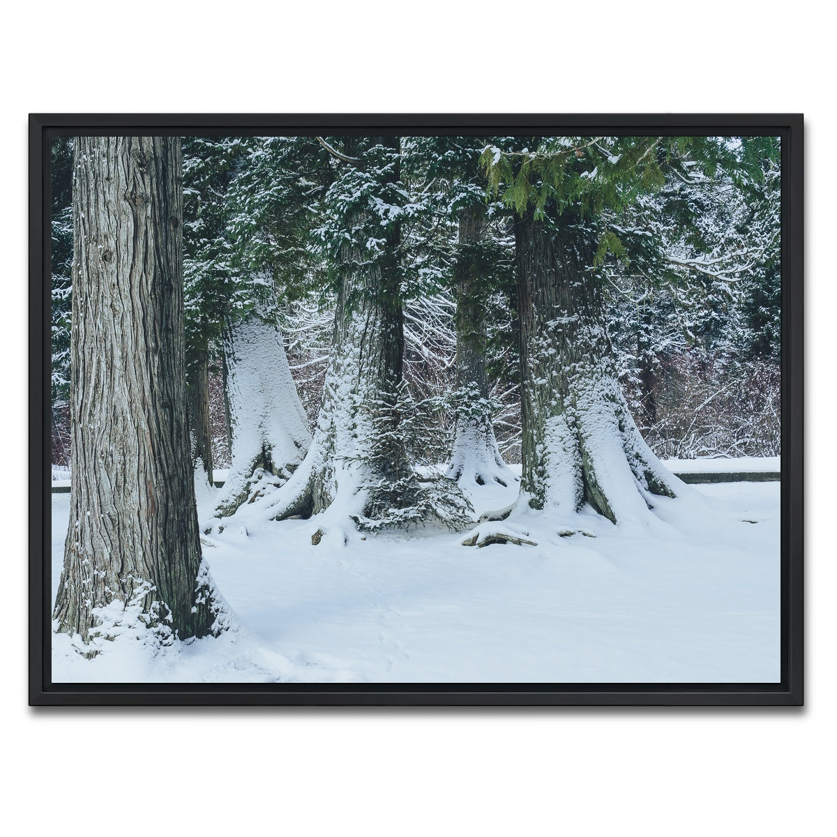 AUTO-MOCKUP WHITE | Winter in Northern BC | 1 Piece | Black Framed Canvas | group=4x3