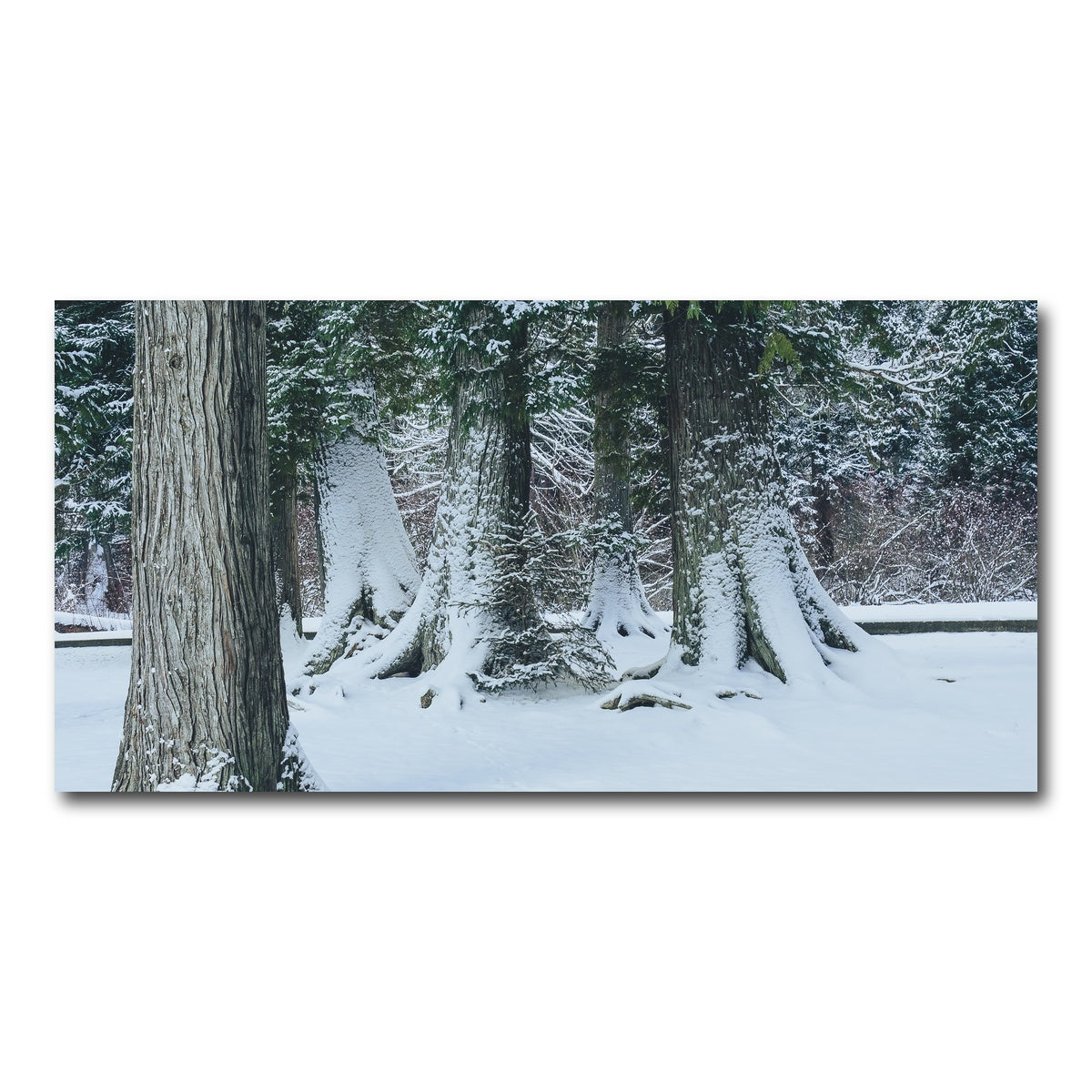 AUTO-MOCKUP WHITE | Winter in Northern BC | 1 Piece | Gallery Wrap Canvas | group=2x1