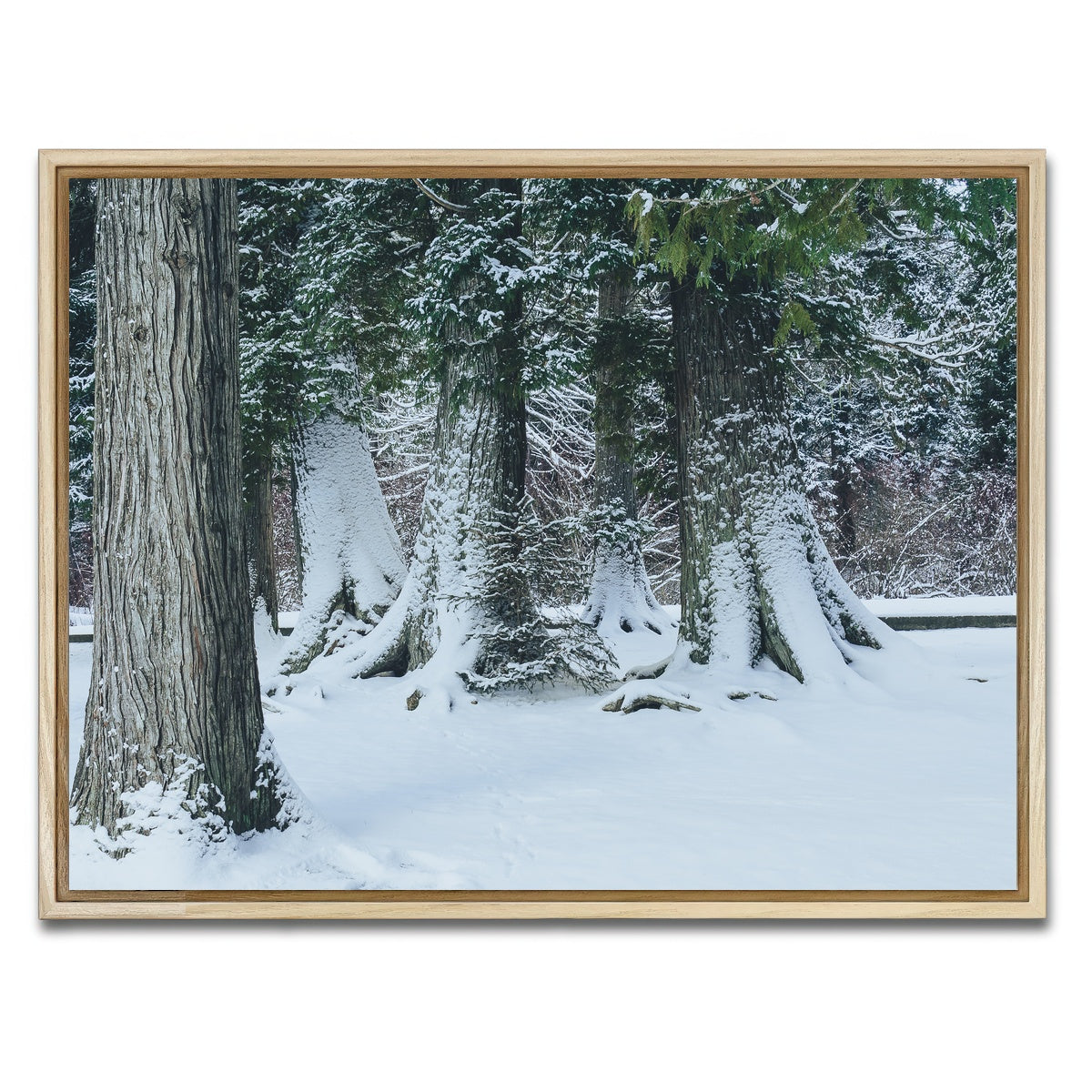 AUTO-MOCKUP WHITE | Winter in Northern BC | 1 Piece | Natural Framed Canvas | group=4x3