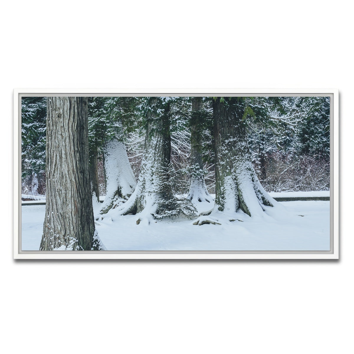 AUTO-MOCKUP WHITE | Winter in Northern BC | 1 Piece | White Framed Canvas | group=2x1