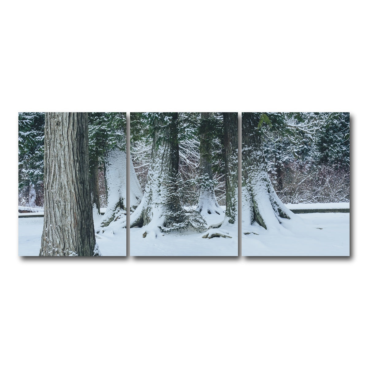 AUTO-MOCKUP WHITE | Winter in Northern BC | 3 Piece | Gallery Wrap Canvas | group=18x24