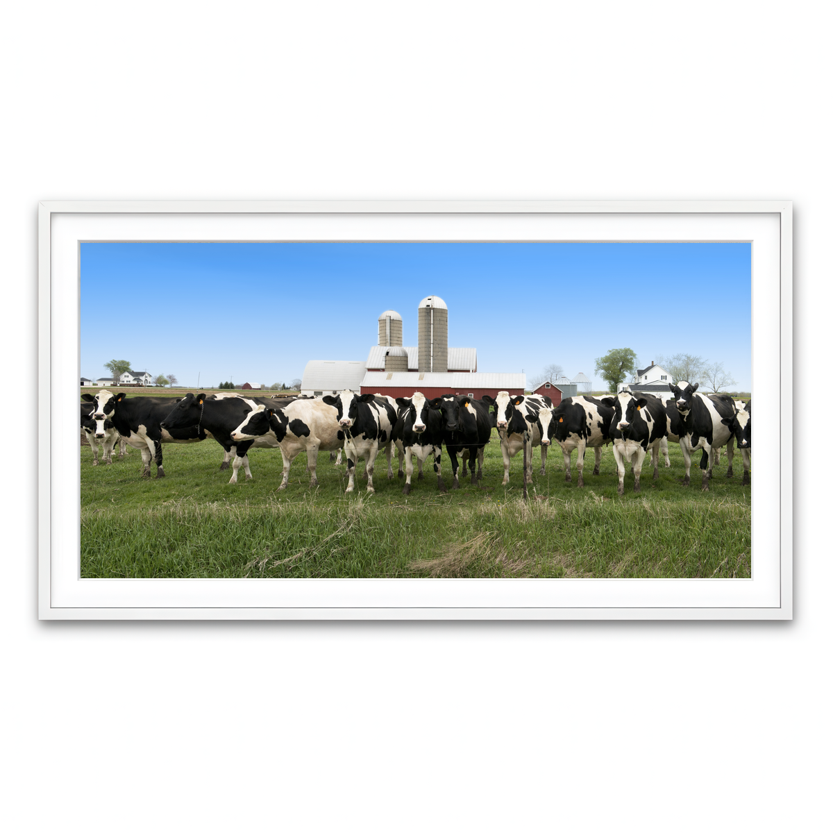 Framed Print 2x1 White