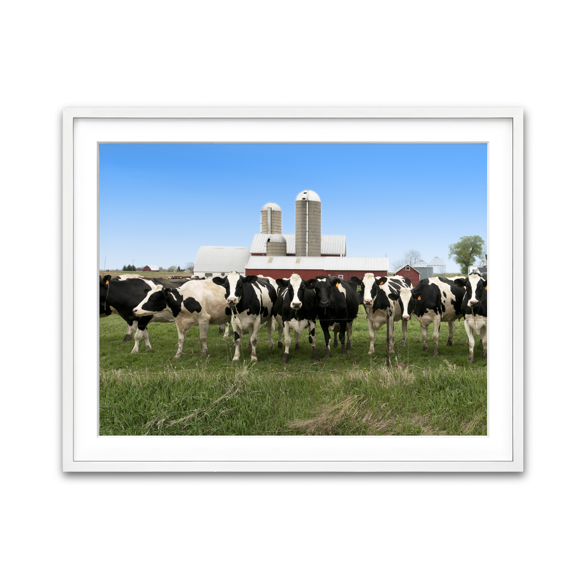 Framed Print 4x3 White