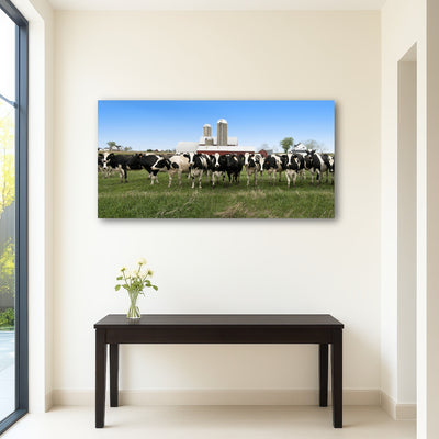 AUTO-MOCKUP ROOM | Wisconsin Dairy Cows