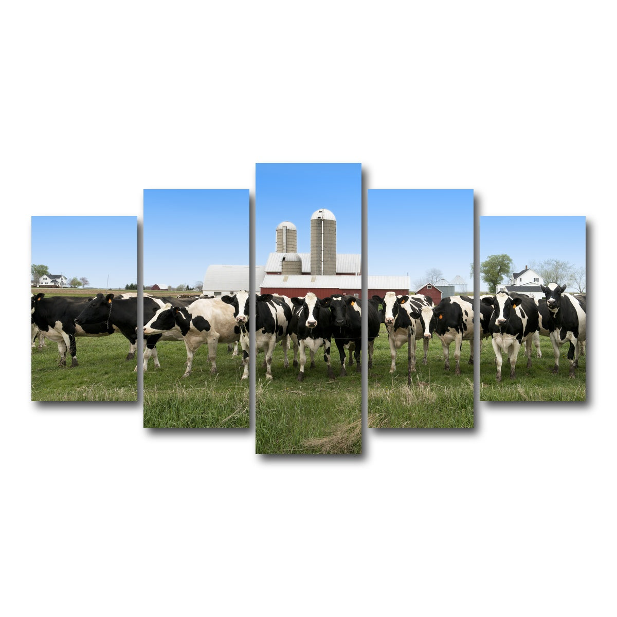 AUTO-MOCKUP WHITE | Wisconsin Dairy Cows | 5 Piece | Gallery Wrap Canvas | group=5_normal