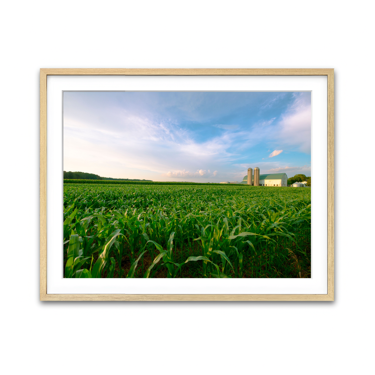 Framed Print 4x3 Natural