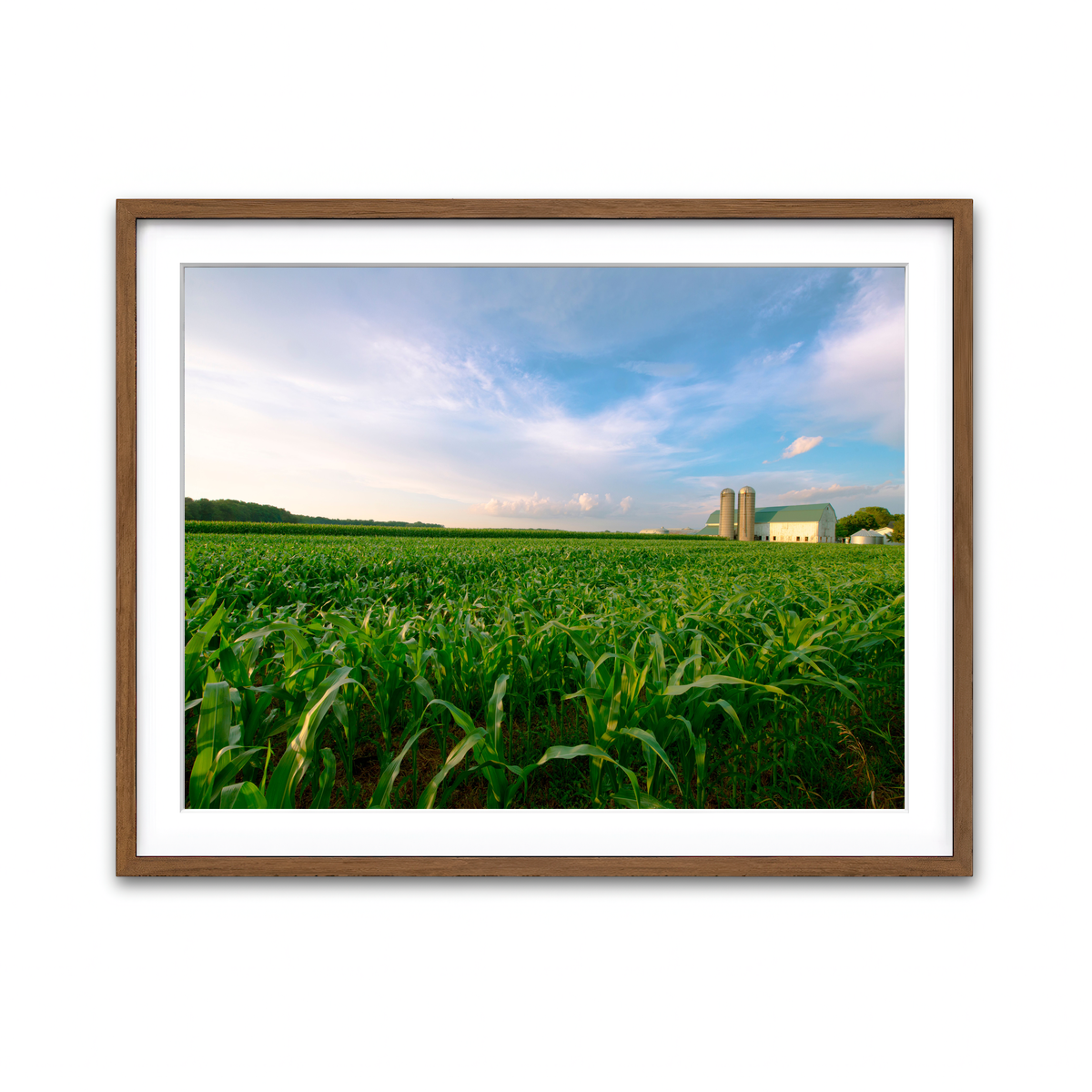 Framed Print 4x3 Walnut