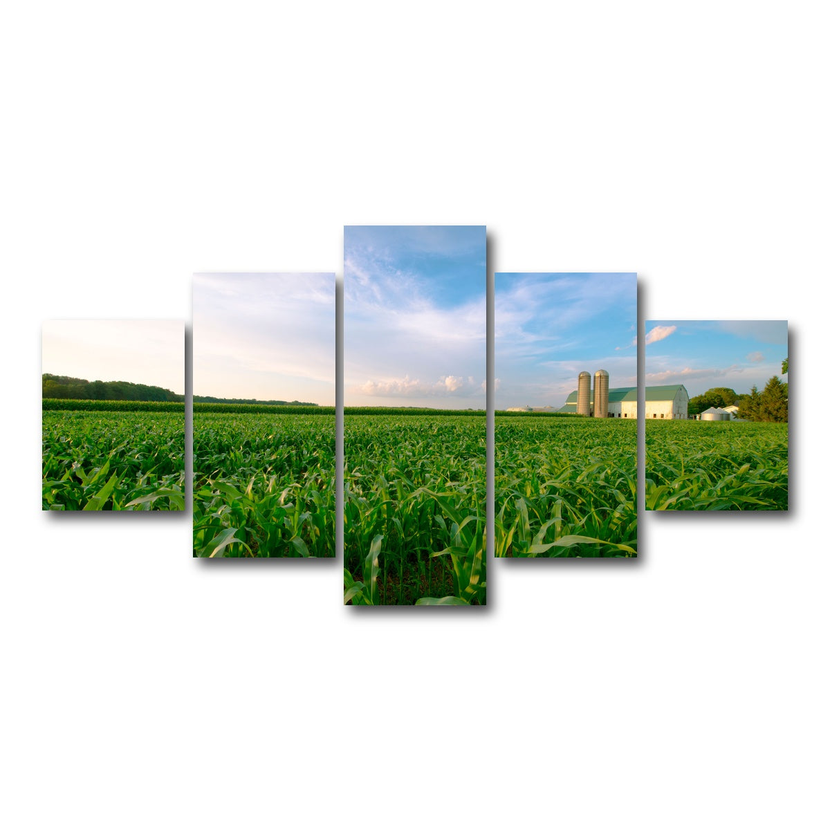 AUTO-MOCKUP WHITE | Wisconsin Dairy Farm by Field of Corn | 5 Piece | Gallery Wrap Canvas | group=5_short