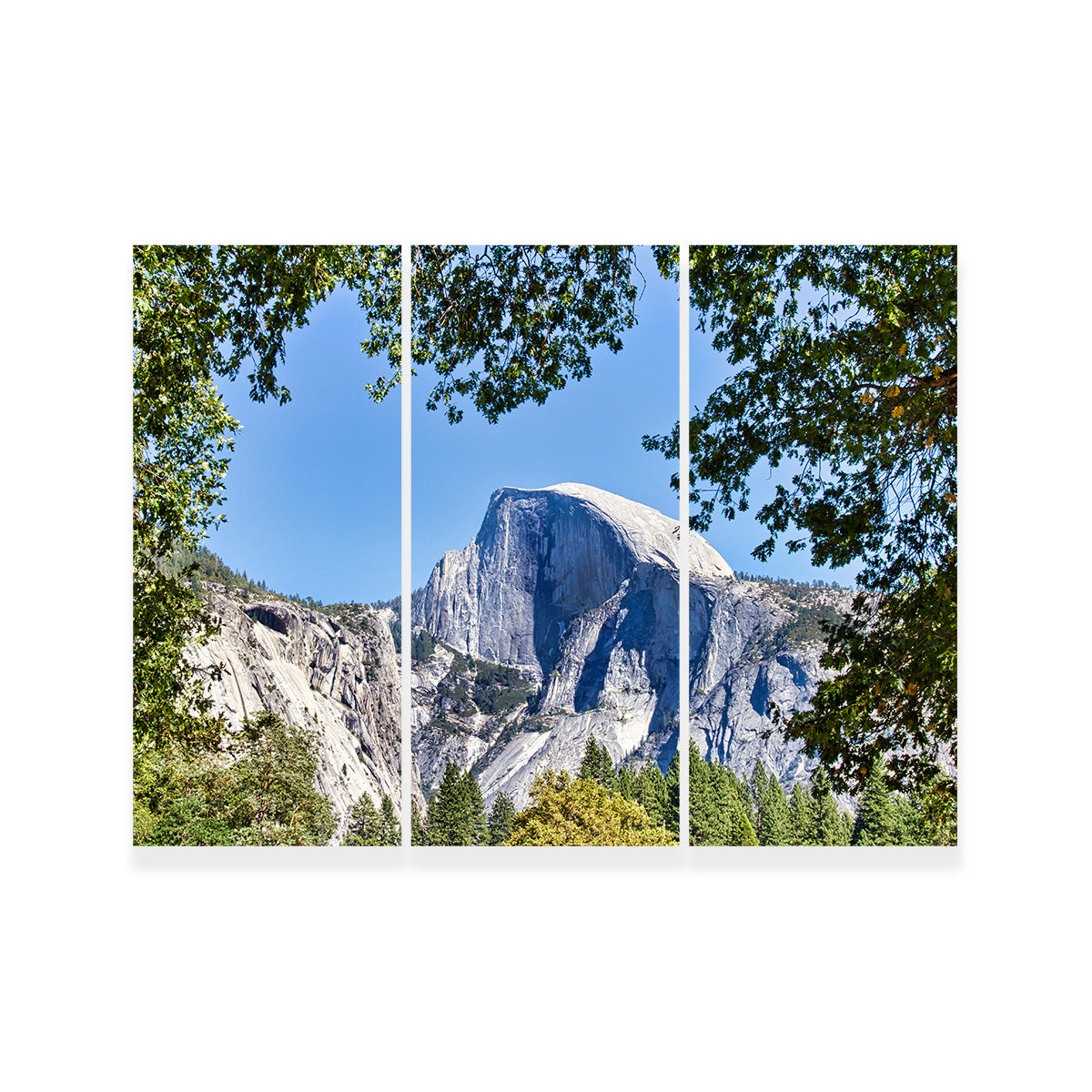 YOSEMITE VALLEY Half Dome Wall Art