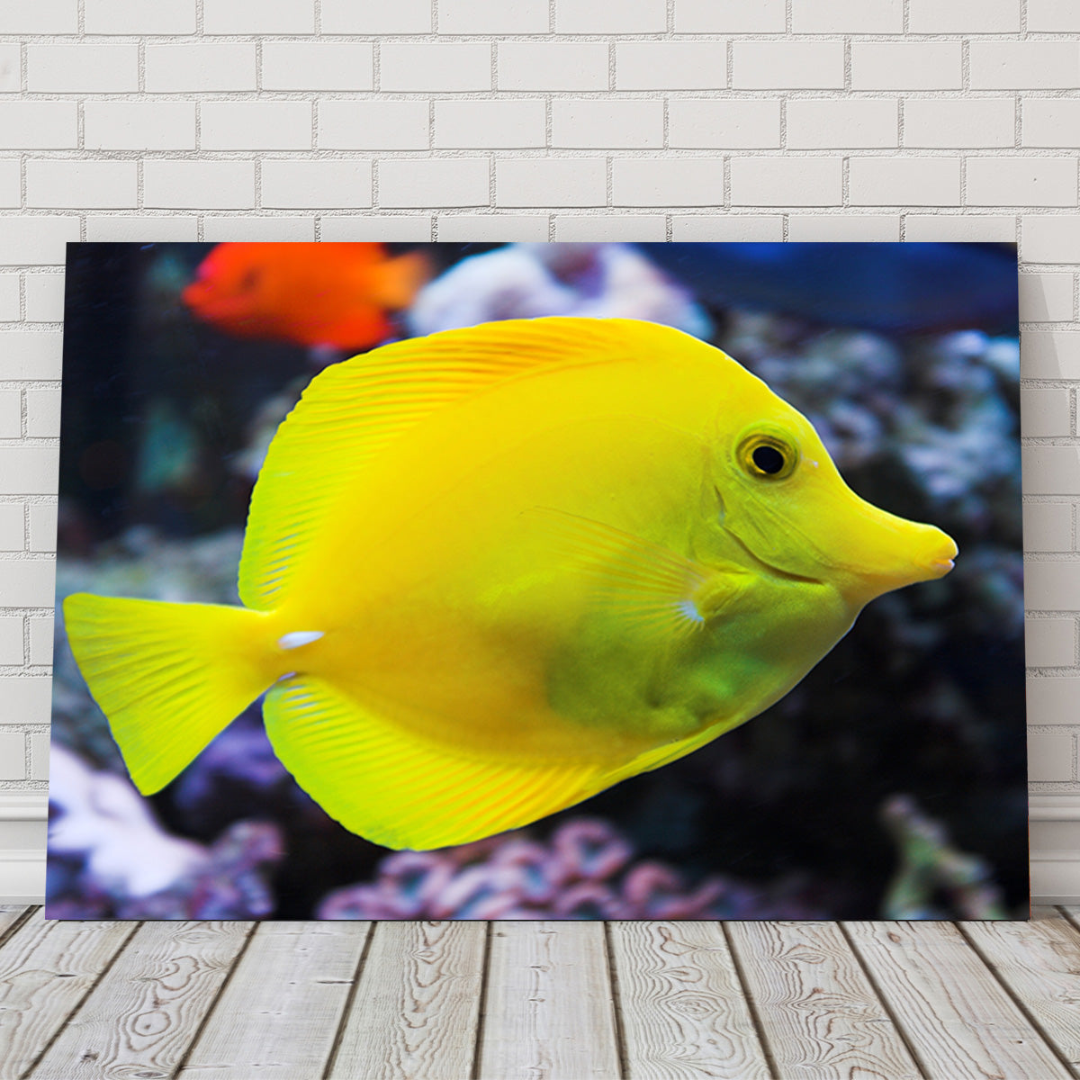 Yellow Tang Wall Art