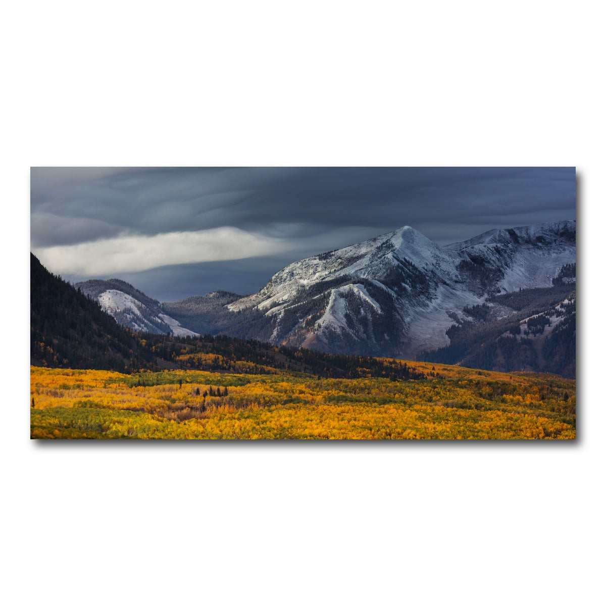 AUTO-MOCKUP WHITE | Yellow Autumn | 1 Piece | Gallery Wrap Canvas | group=2x1