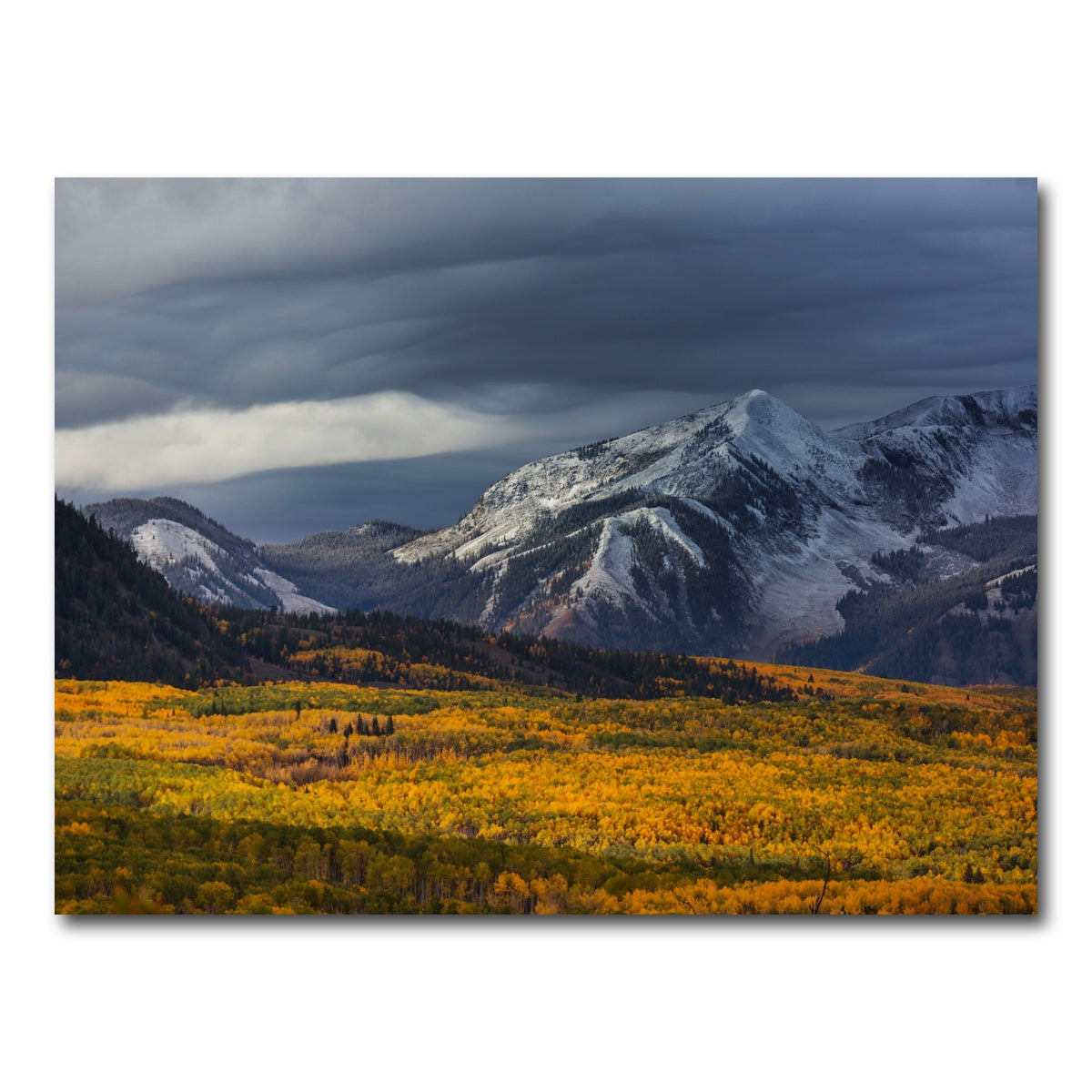 AUTO-MOCKUP WHITE | Yellow Autumn | 1 Piece | Gallery Wrap Canvas | group=4x3