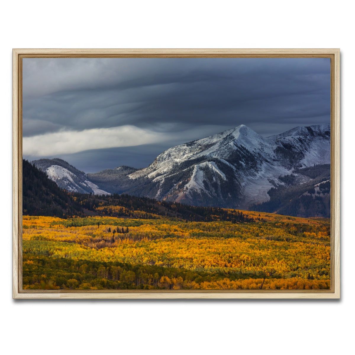 AUTO-MOCKUP WHITE | Yellow Autumn | 1 Piece | Natural Framed Canvas | group=4x3