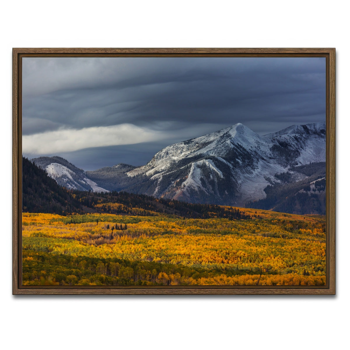 AUTO-MOCKUP WHITE | Yellow Autumn | 1 Piece | Walnut Framed Canvas | group=4x3