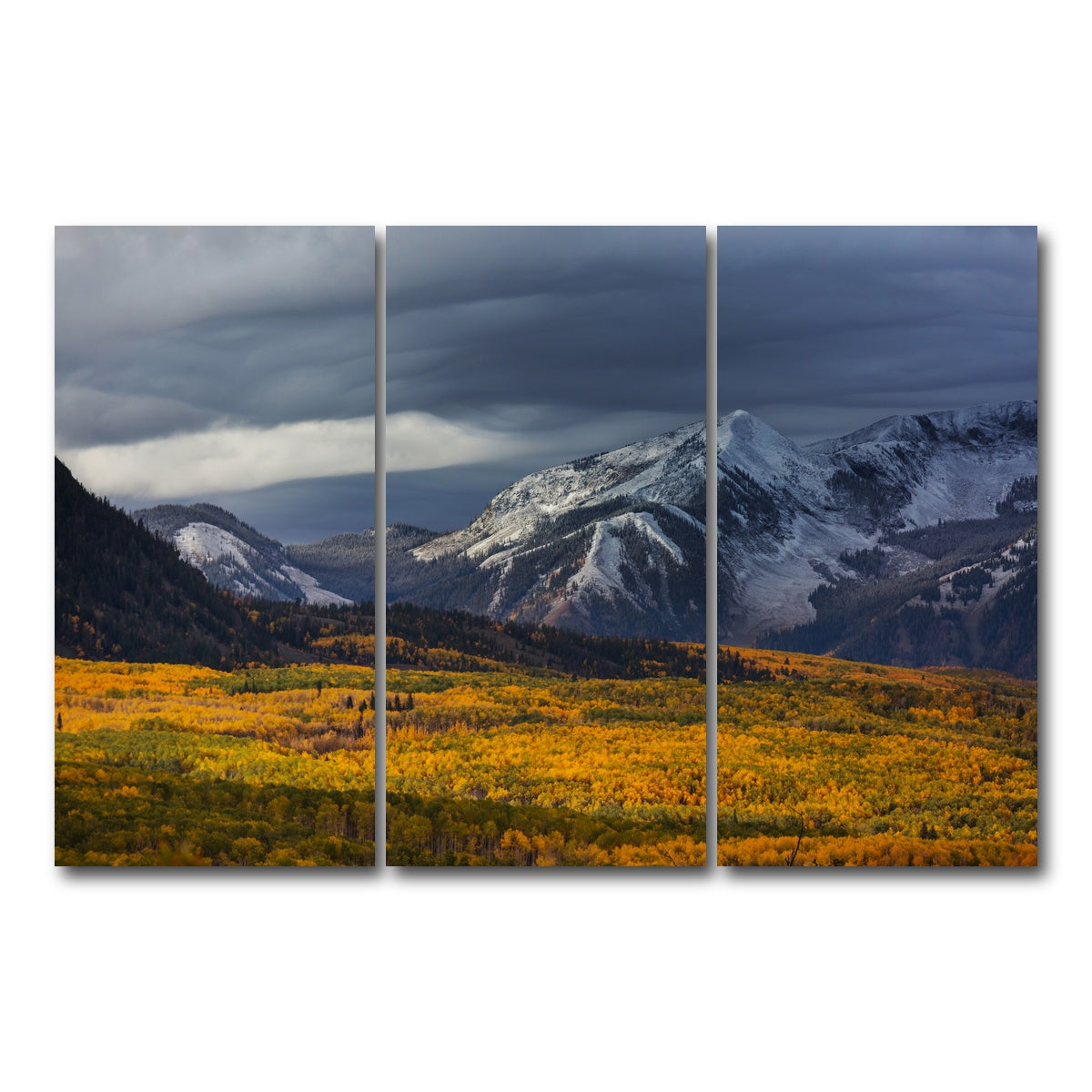 AUTO-MOCKUP WHITE | Yellow Autumn | 3 Piece | Gallery Wrap Canvas | group=12x24