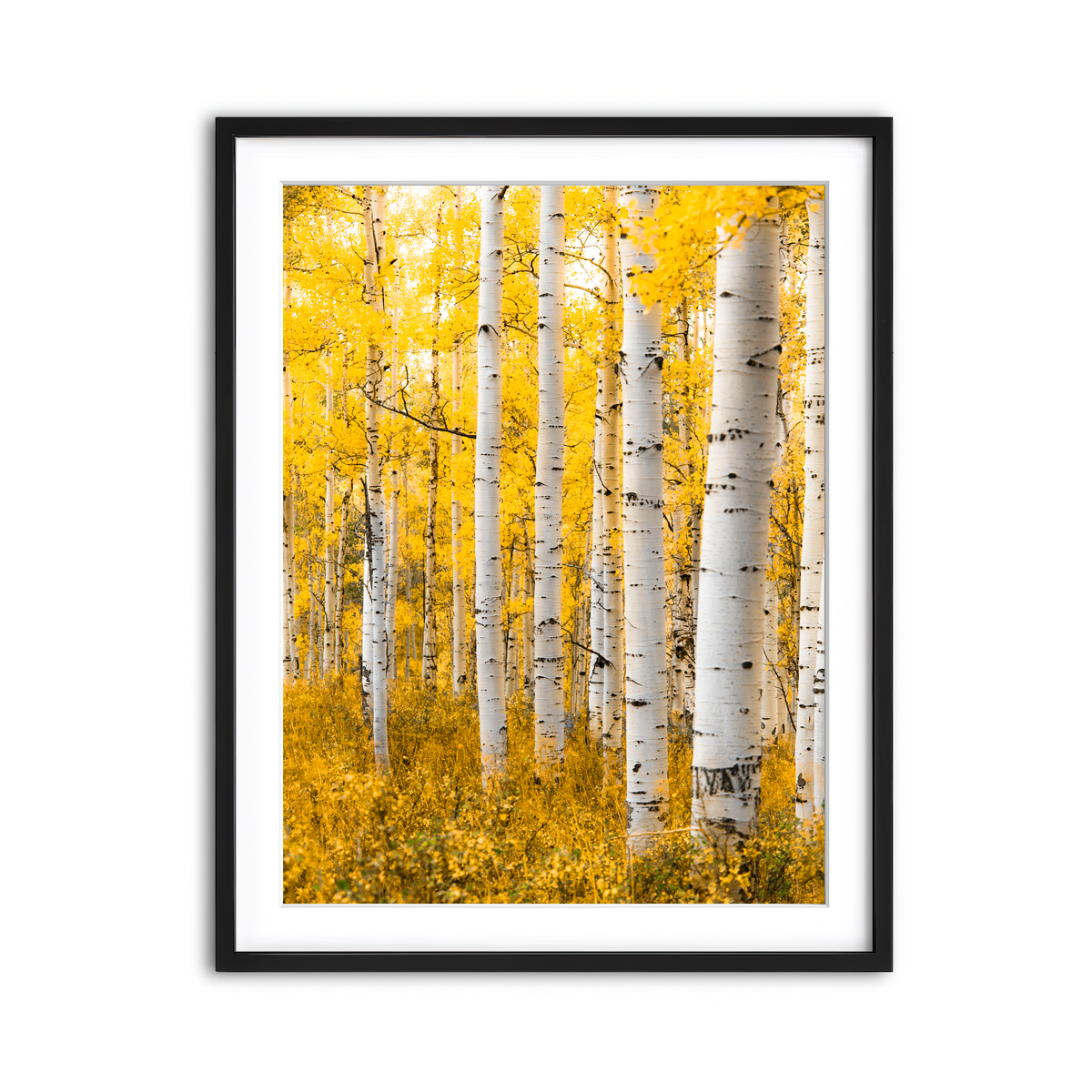 Framed Print 3x4 Black