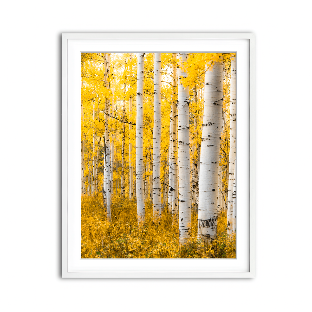 Framed Print 3x4 White