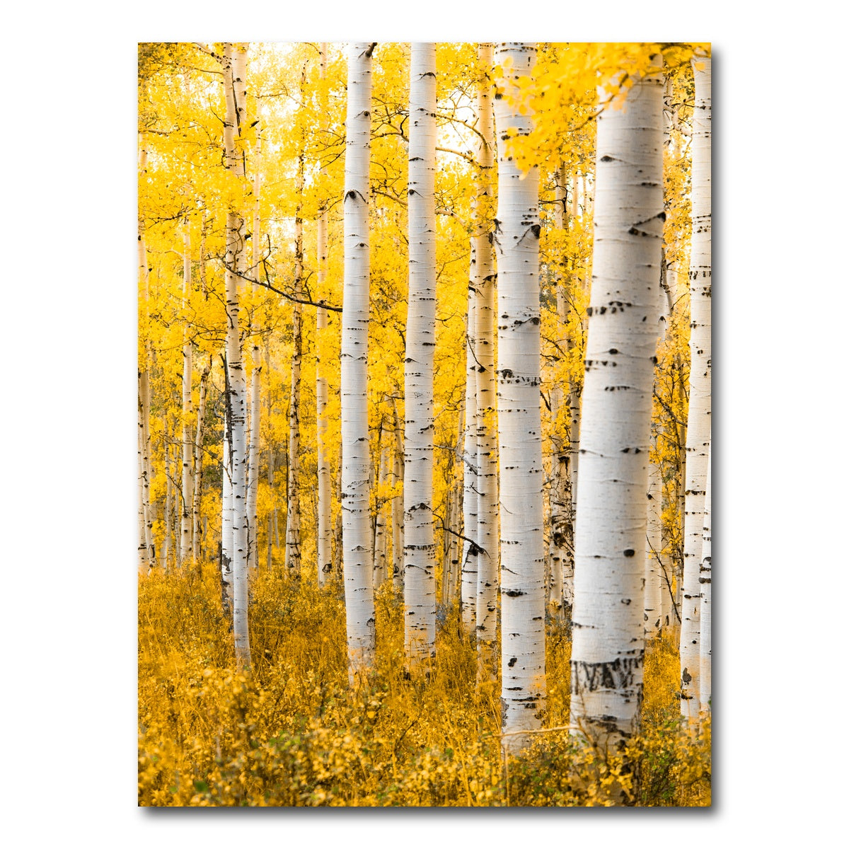 AUTO-MOCKUP WHITE | Yellow Forest | 1 Piece | Gallery Wrap Canvas | group=3x4