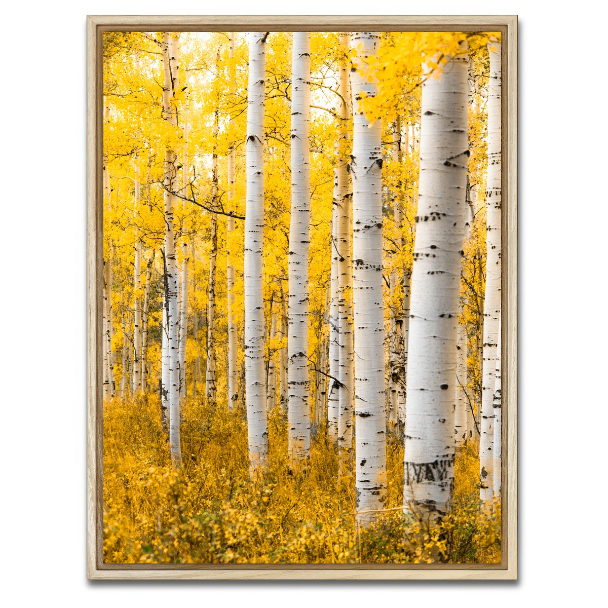AUTO-MOCKUP WHITE | Yellow Forest | 1 Piece | Natural Framed Canvas | group=3x4