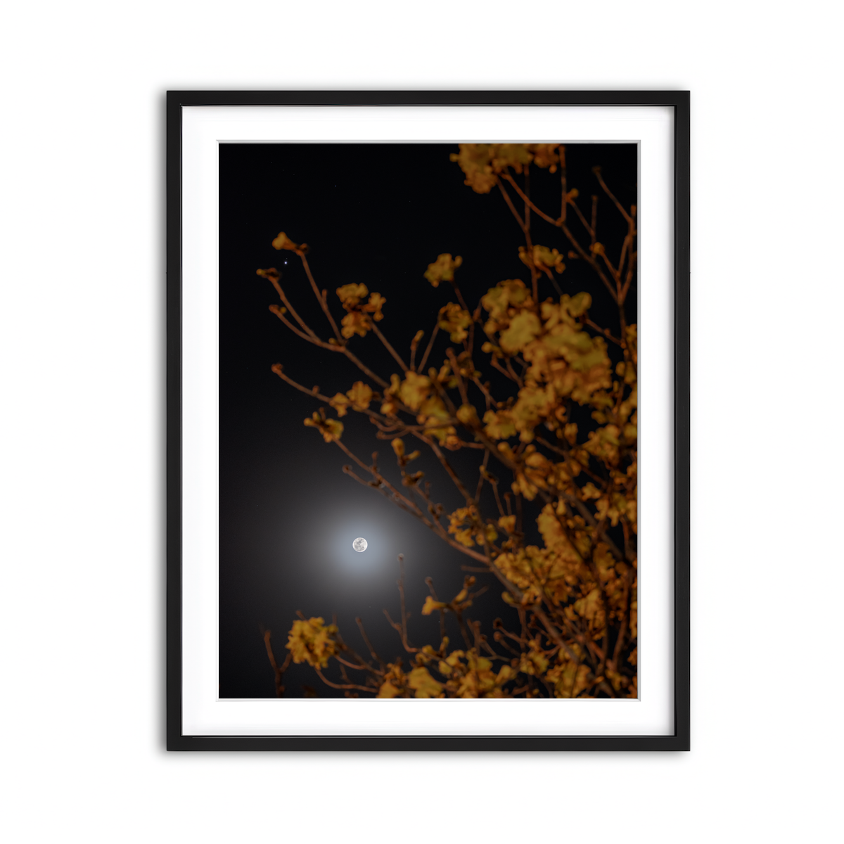 Framed Print 3x4 Black