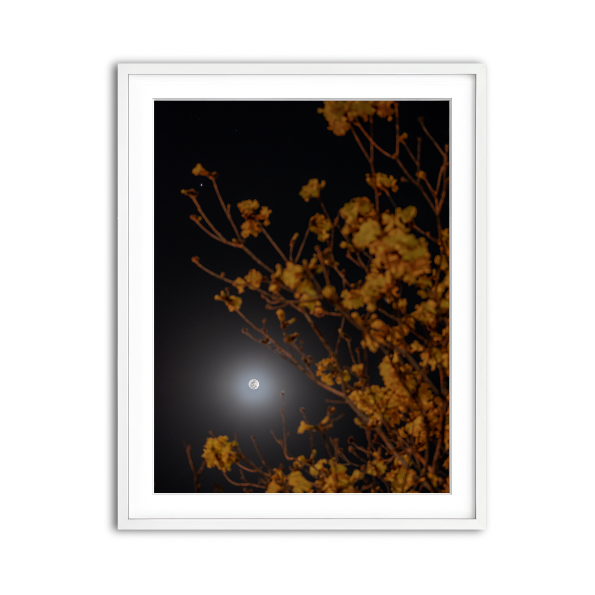 Framed Print 3x4 White