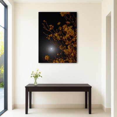 AUTO-MOCKUP ROOM | Yellow Ipe and Selene