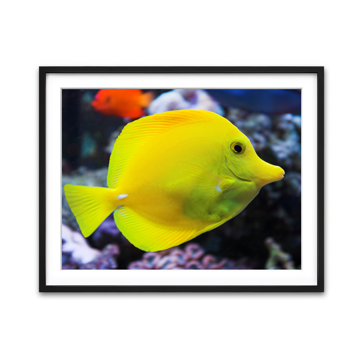 Framed Print 4x3 Black