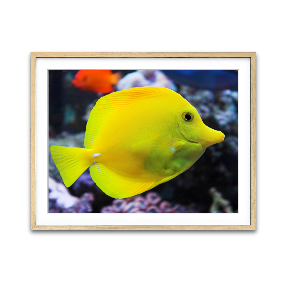 Framed Print 4x3 Natural