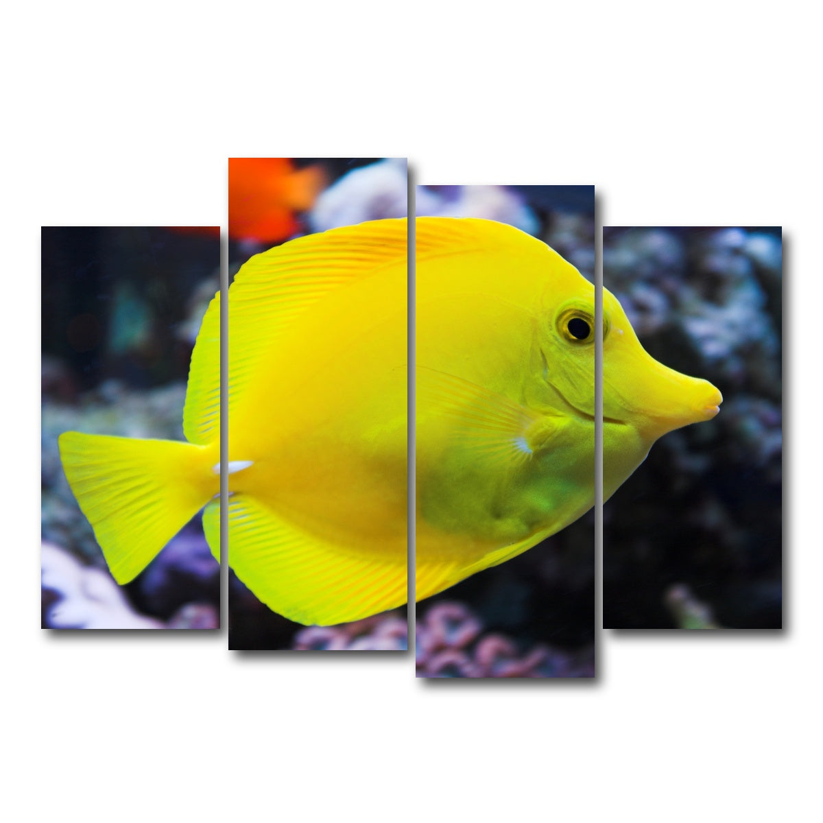 AUTO-MOCKUP WHITE | Yellow Tang | 4 Piece | Gallery Wrap Canvas | group=4_normal