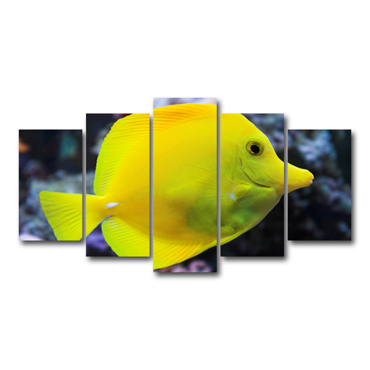 AUTO-MOCKUP WHITE | Yellow Tang | 5 Piece | Gallery Wrap Canvas | group=5_normal