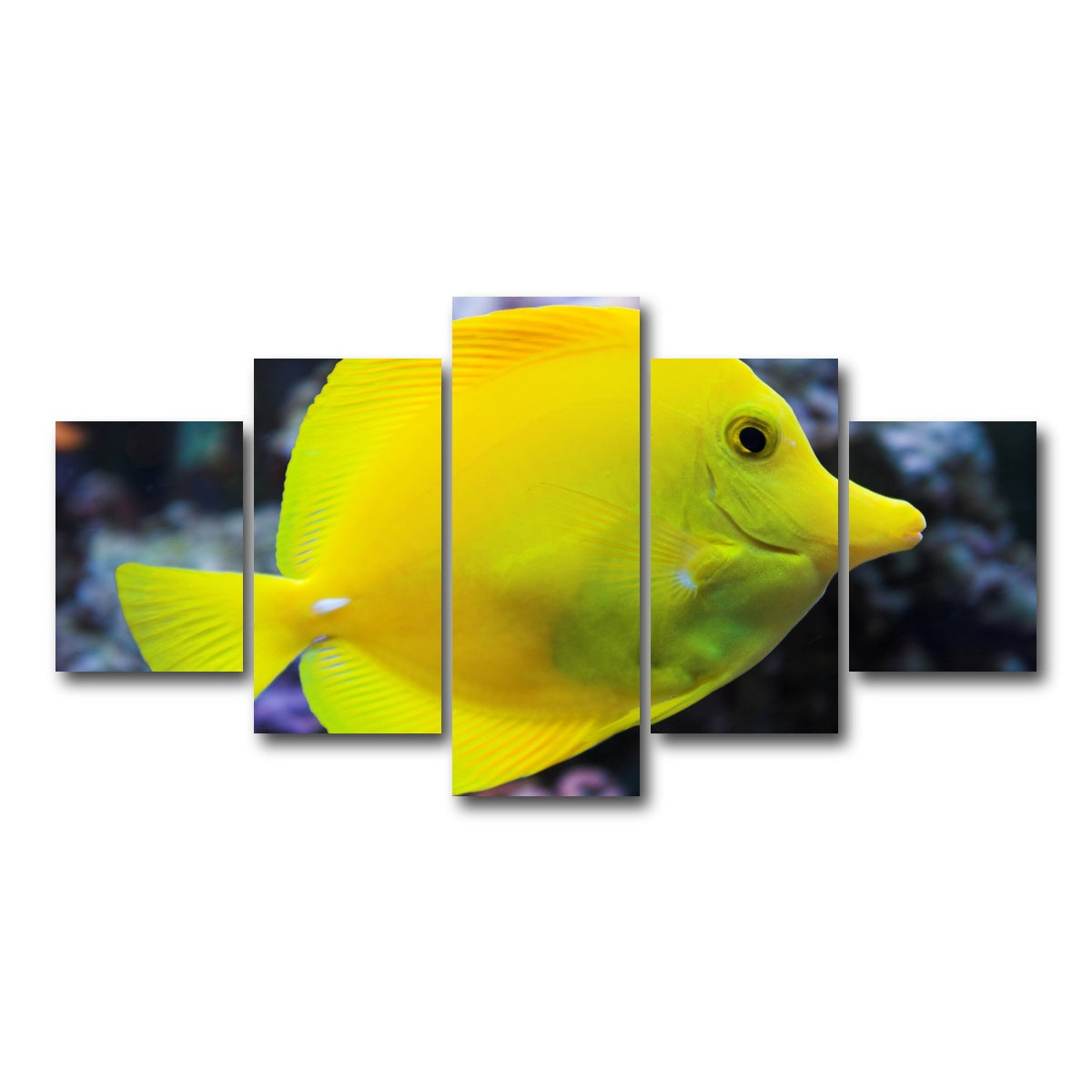 AUTO-MOCKUP WHITE | Yellow Tang | 5 Piece | Gallery Wrap Canvas | group=5_short
