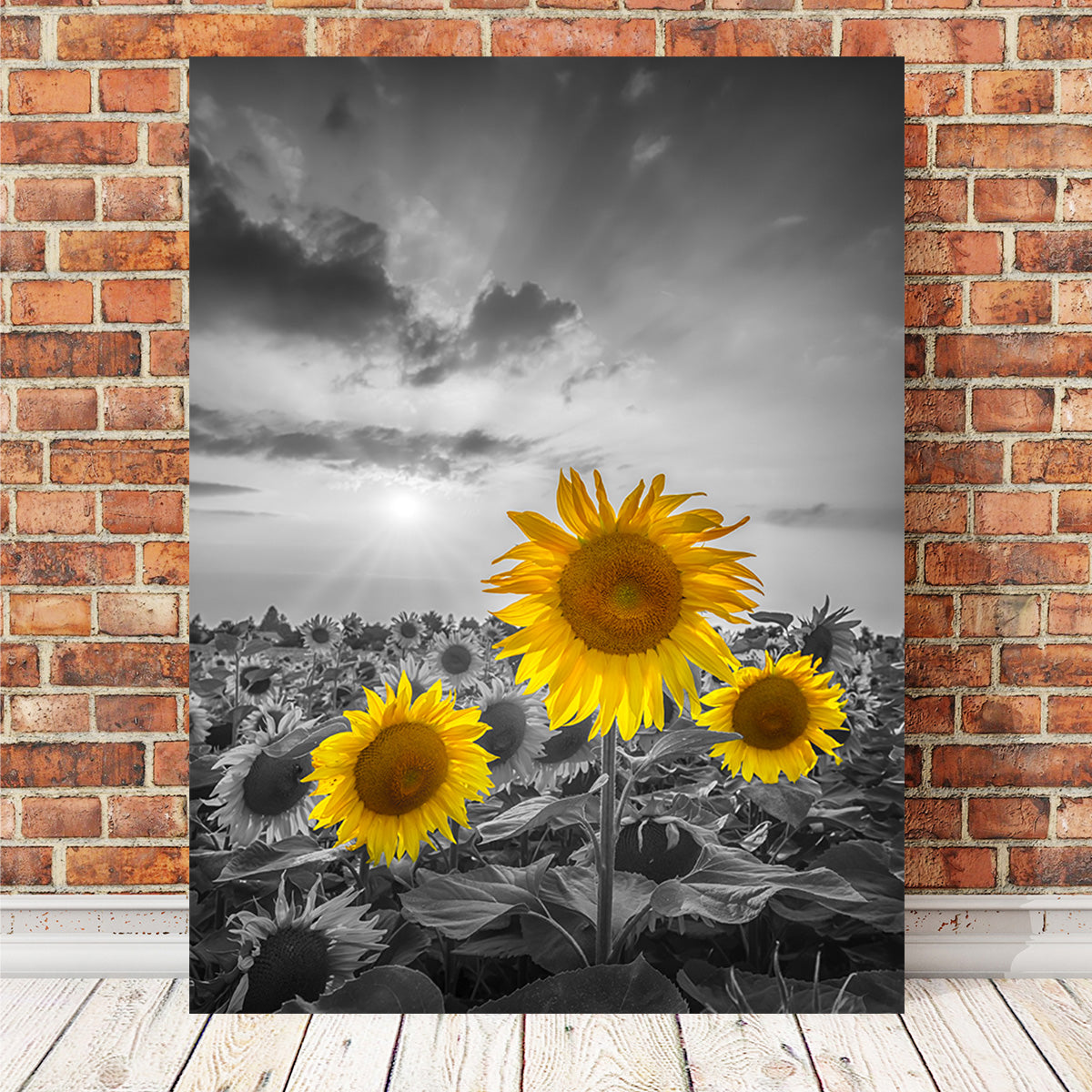Yellow Pop Sunflowers Wall Art