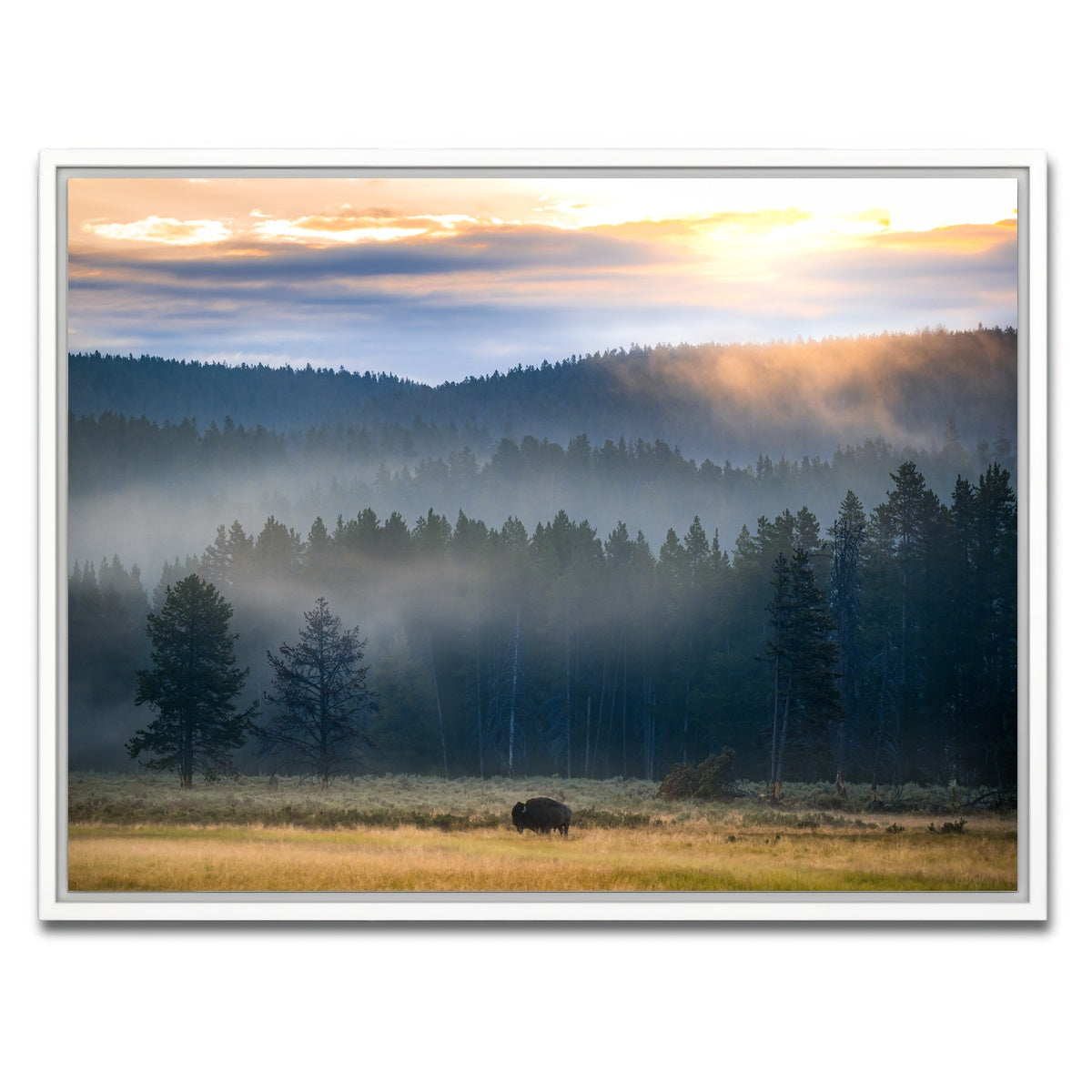 AUTO-MOCKUP WHITE | Yellowstone at Dawn | 1 Piece | White Framed Canvas | group=4x3