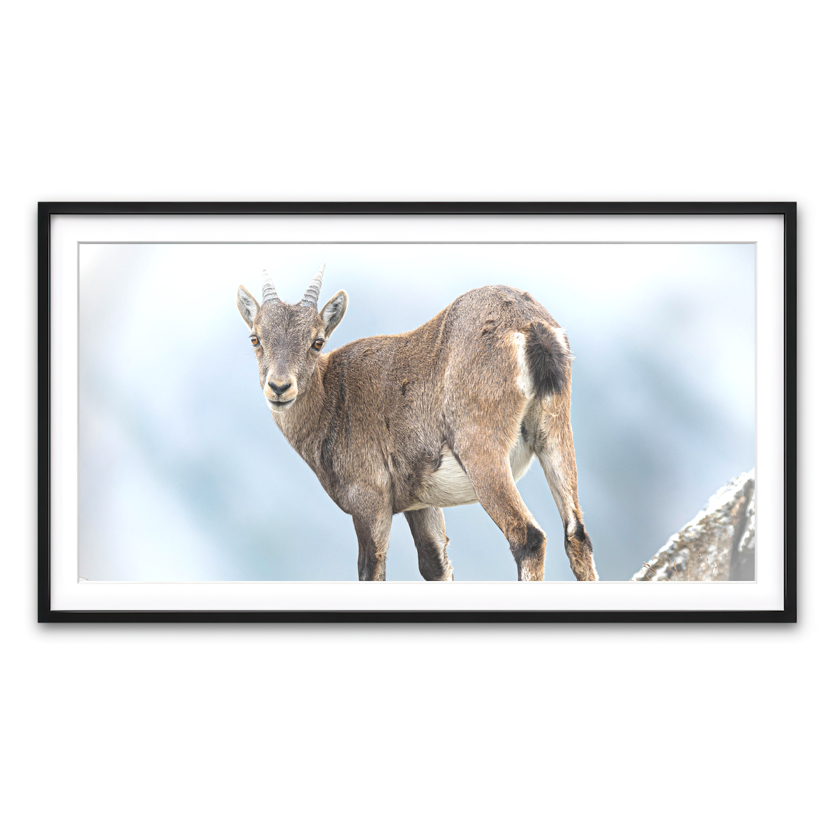 Framed Print 2x1 Black