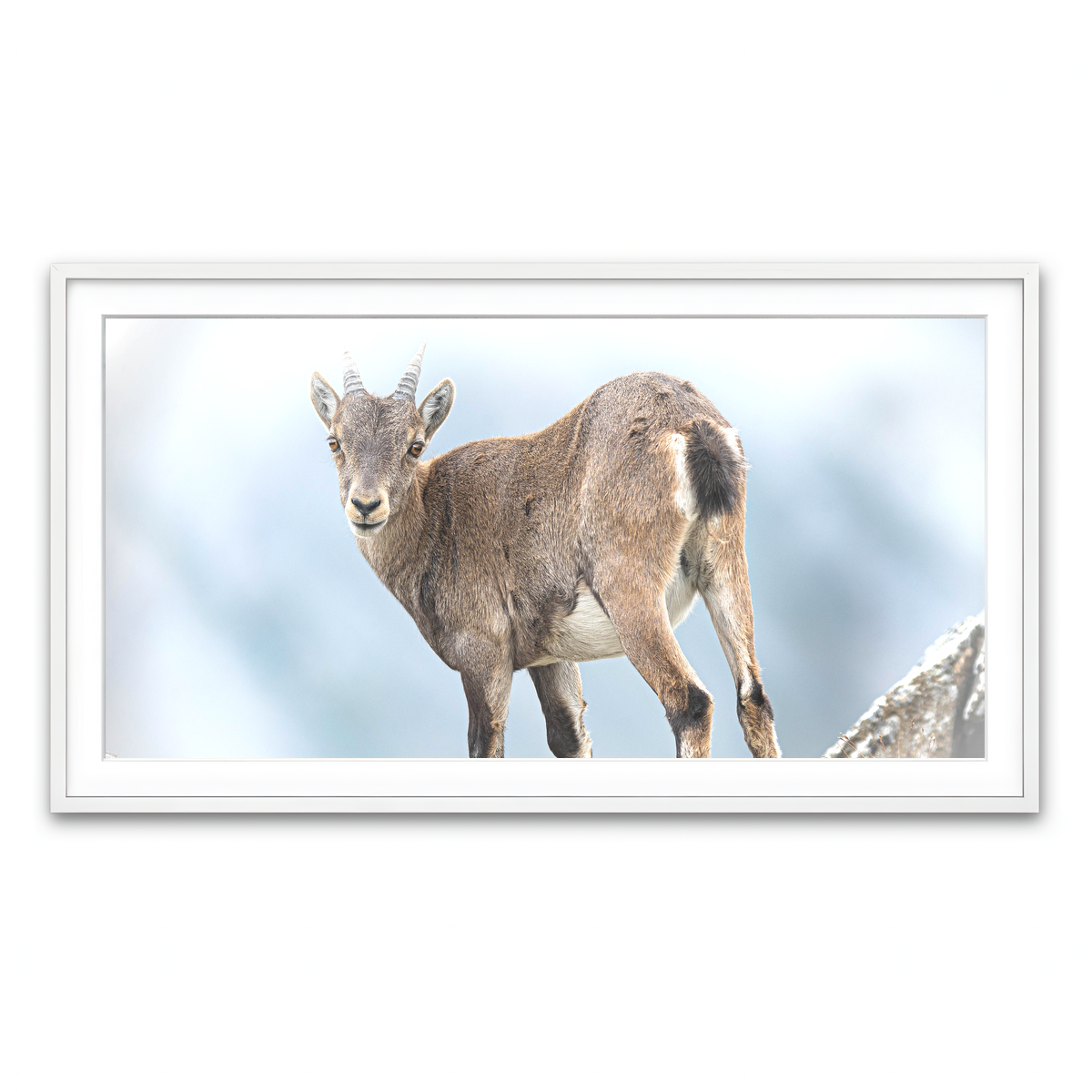 Framed Print 2x1 White