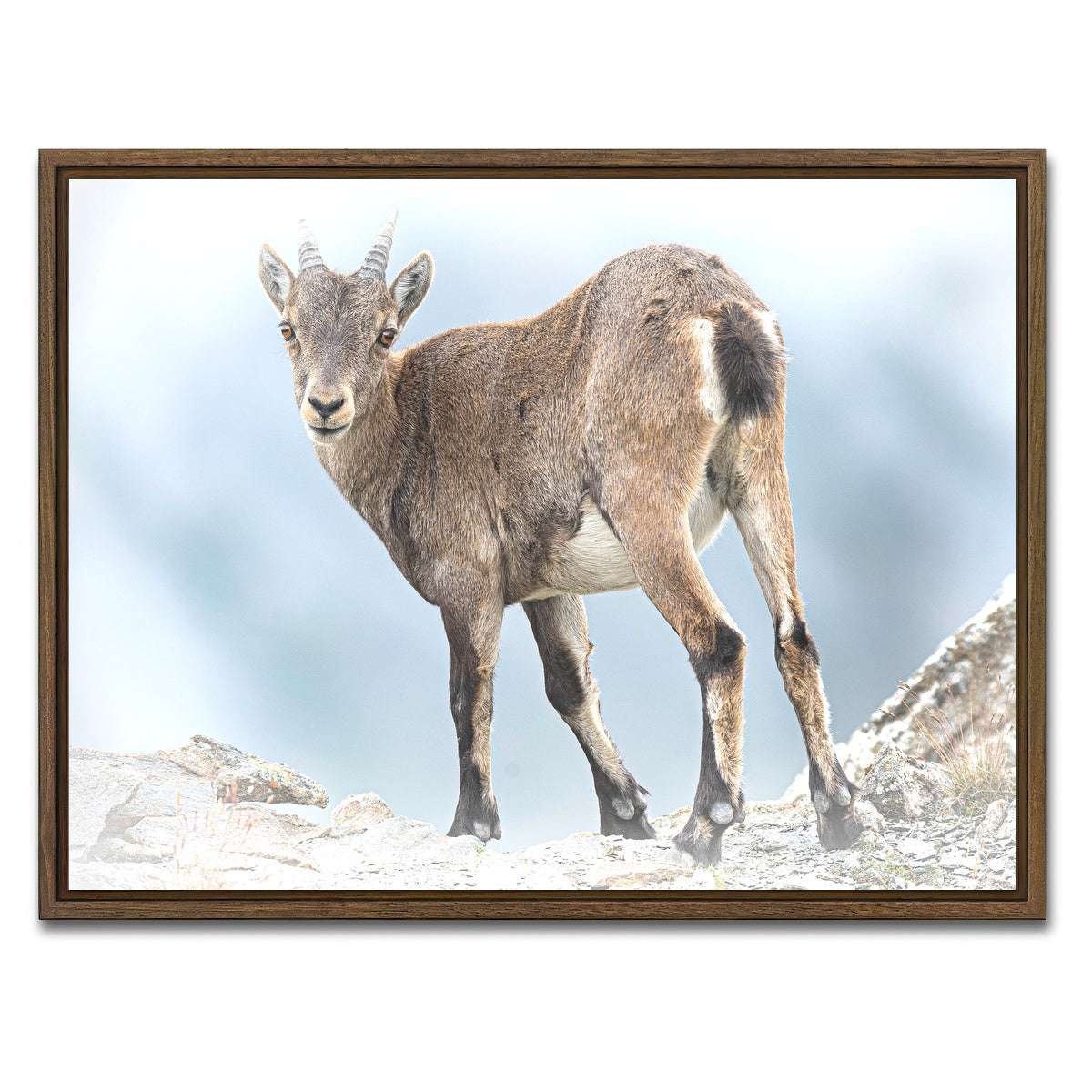 AUTO-MOCKUP WHITE | Yeux dans les yeux | 1 Piece | Walnut Framed Canvas | group=4x3