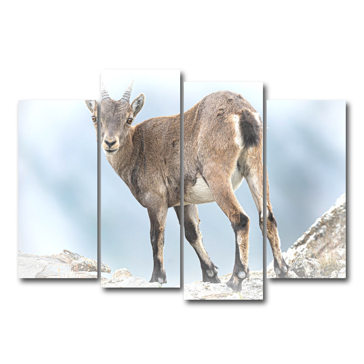 AUTO-MOCKUP WHITE | Yeux dans les yeux | 4 Piece | Gallery Wrap Canvas | group=4_normal