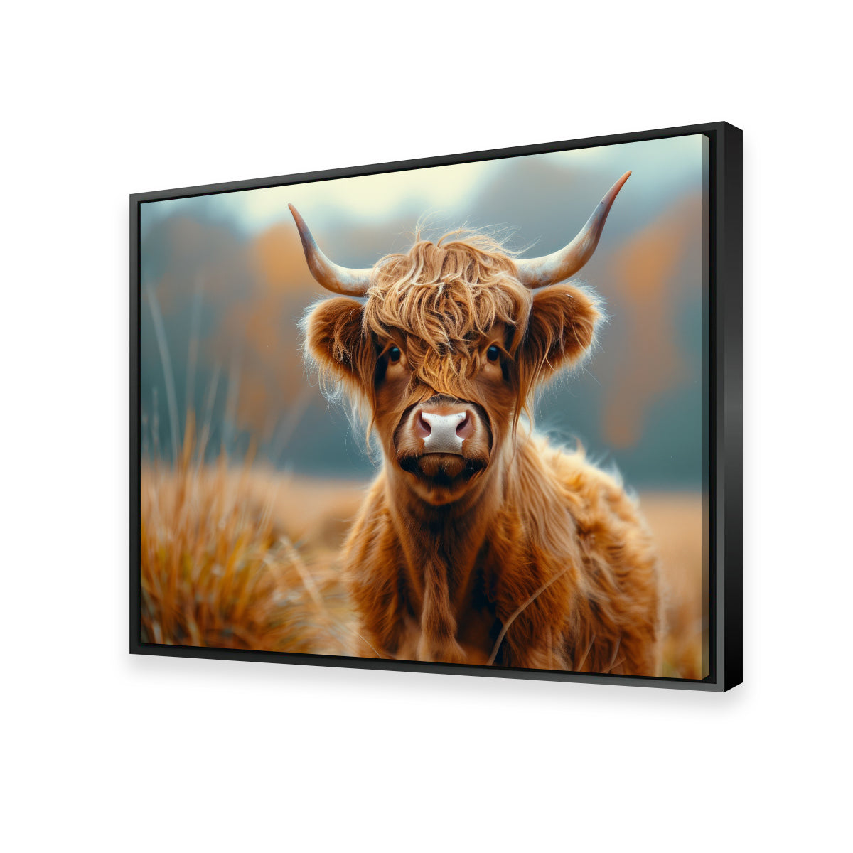 Young Highland Cow Wall Art