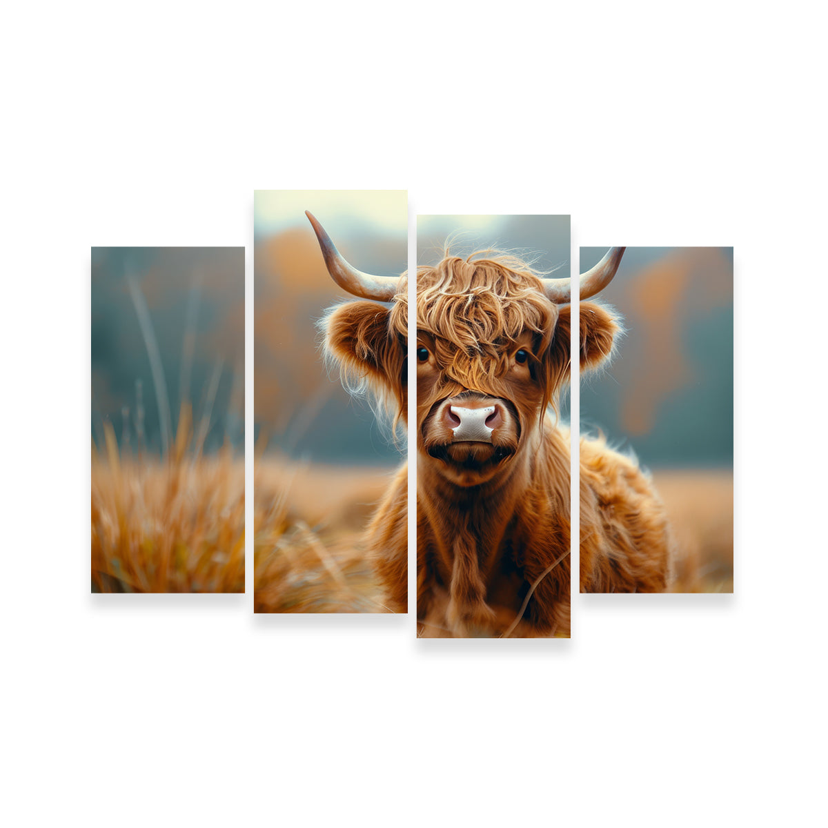 Young Highland Cow Wall Art