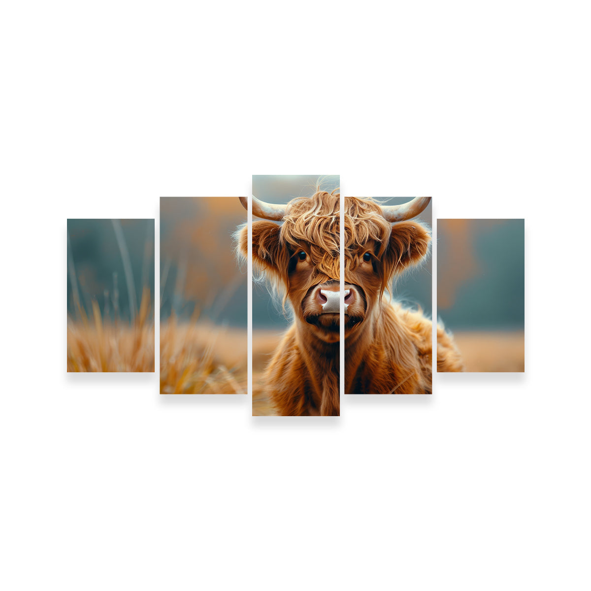 Young Highland Cow Wall Art